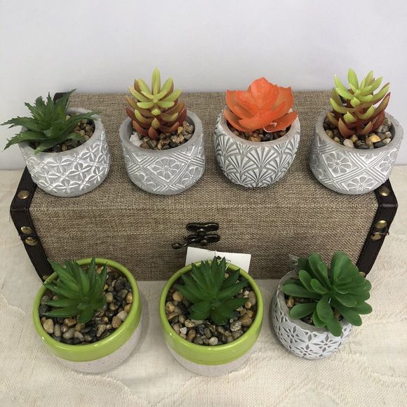 Does not apply Other - Ceramic Planters Set of 7 Artificial Succulents.  2.5 In NEW